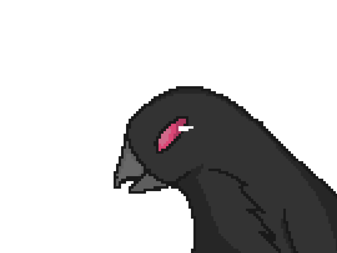 crow