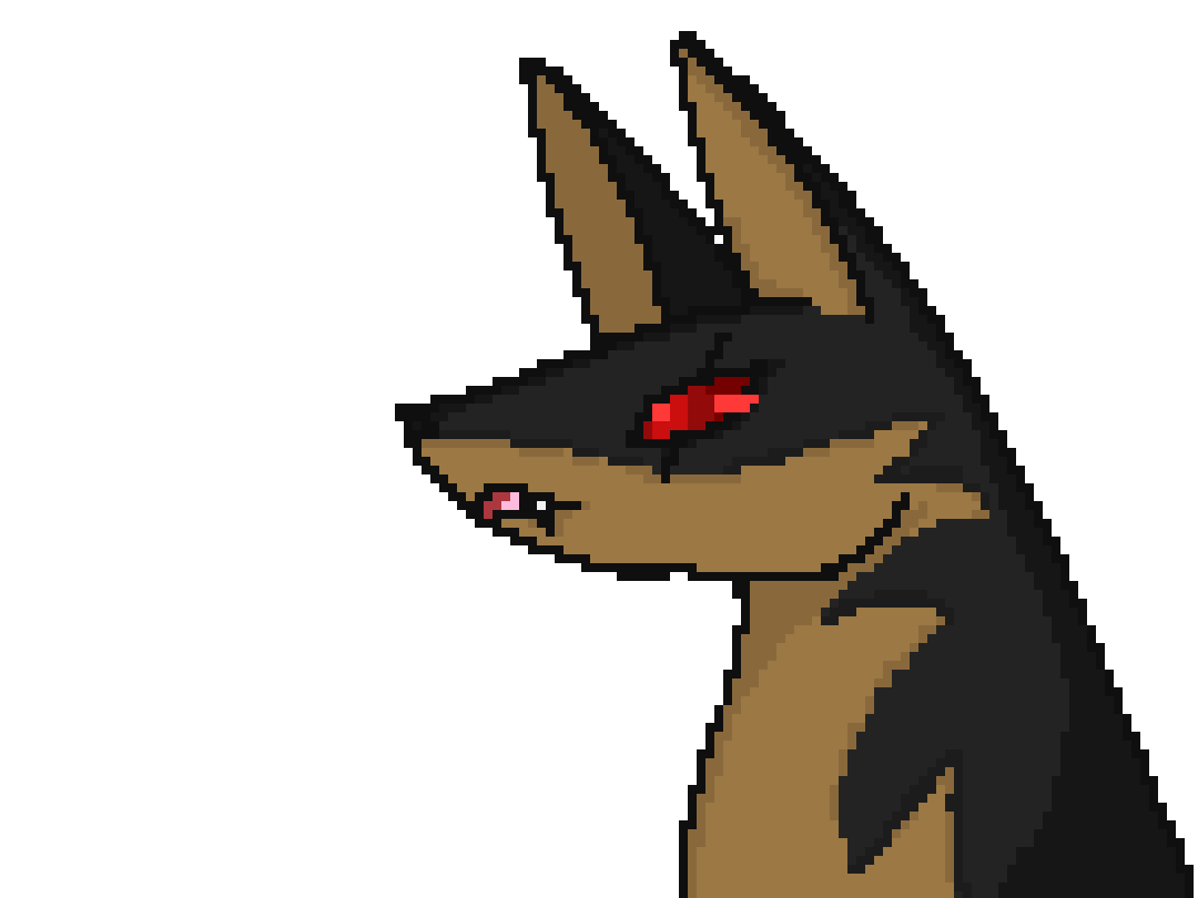 darkdog