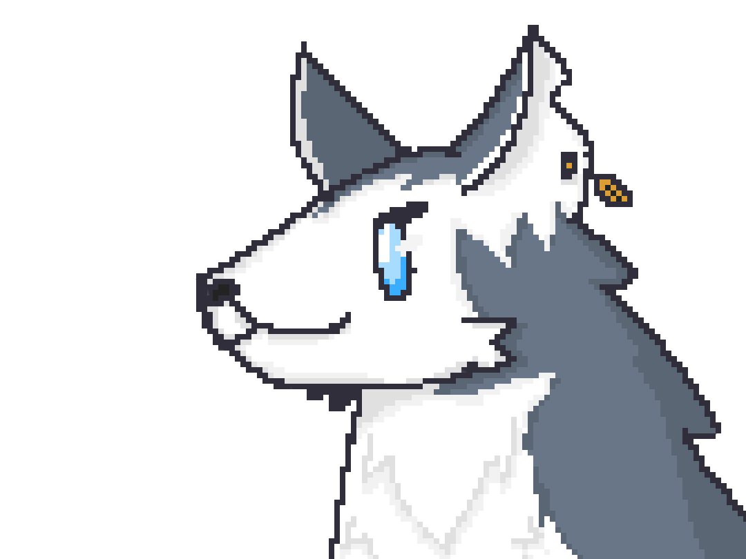 husky