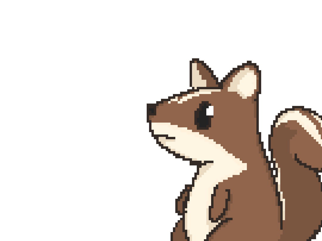squirrel